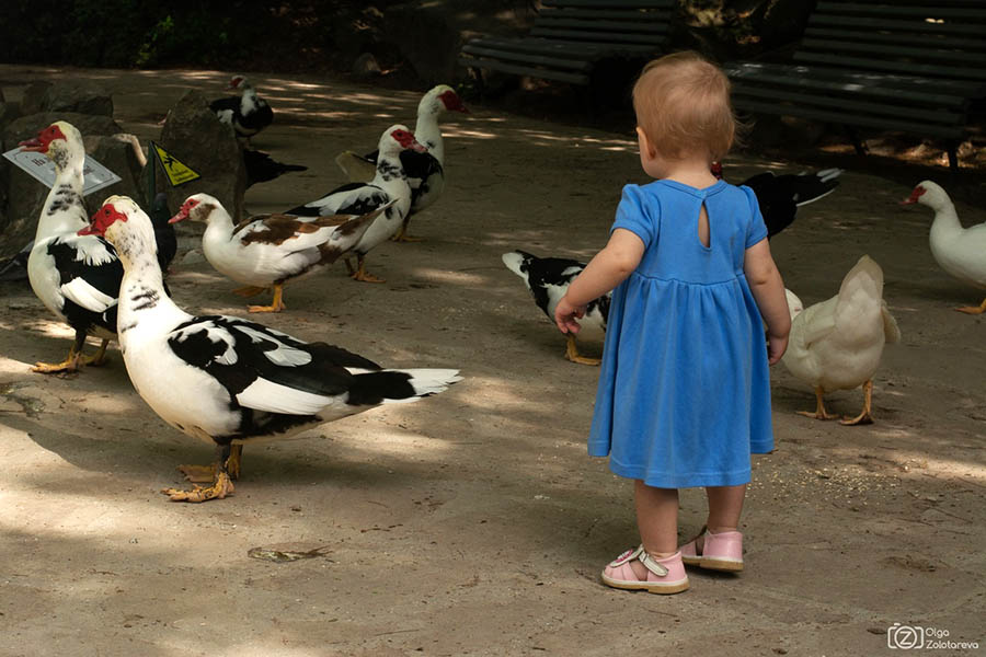 Отдых с детьми в Крыму. Зоопарк