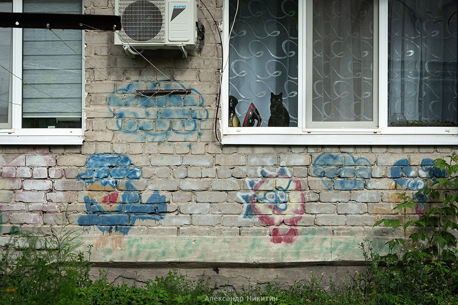 Инза котическая