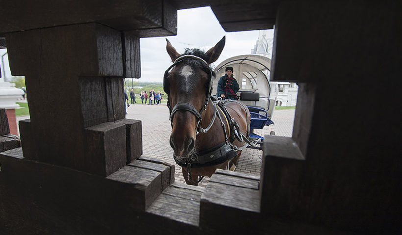 Катание на лошадях в парке Коломенское, Москва