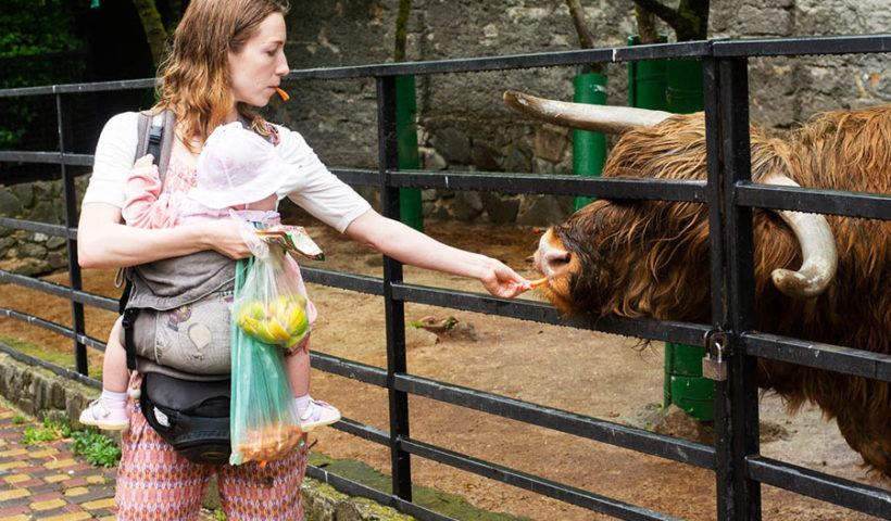 С детьми в Крыму. Ялтинский зоопарк